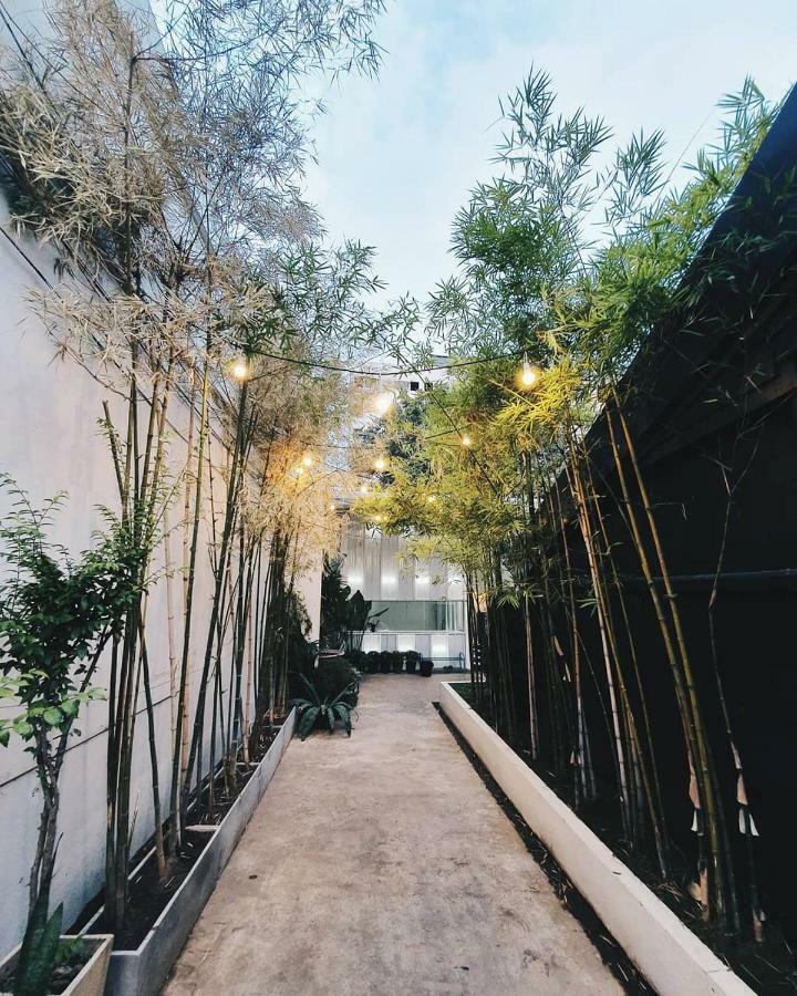 The Park Society Hostel Τσιάνγκ Μάι Εξωτερικό φωτογραφία