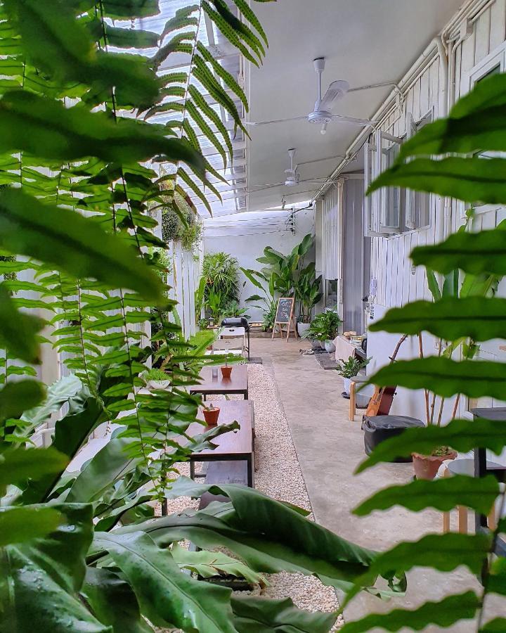 The Park Society Hostel Τσιάνγκ Μάι Εξωτερικό φωτογραφία